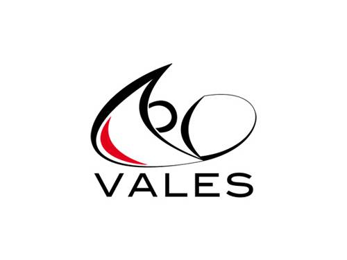 Realizzazione nuovo logo aziendale | Cliente: Vales